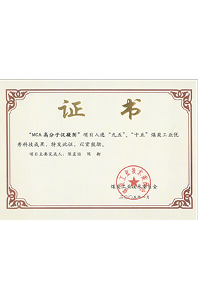 2005年1月MCA高分子促凝劑獲“九五、十五”科技成果獎(jiǎng)